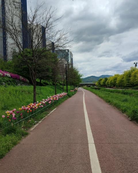 고덕천 산책길 사진 5