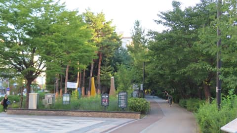 고덕천 산책길 사진 8