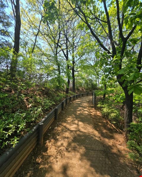 달마을근린공원 산책길 사진 1