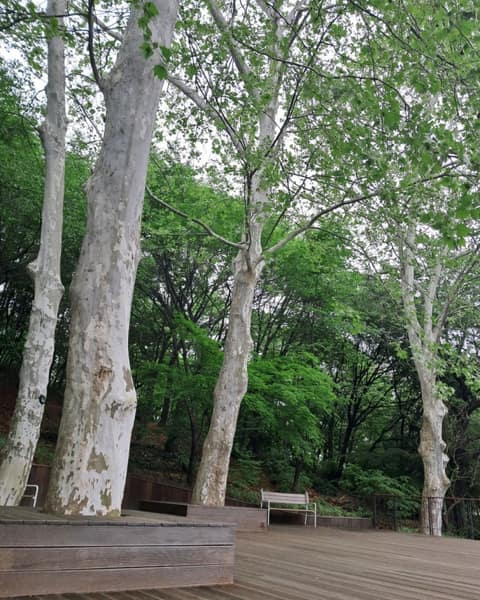 달마을근린공원 산책길 사진 2