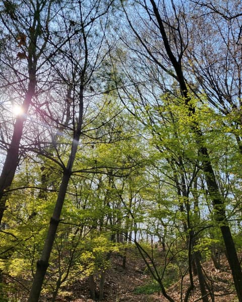 달마을근린공원 산책길 사진 3