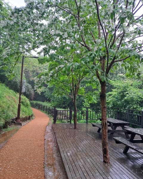 달마을근린공원 산책길 사진 4