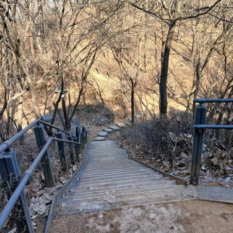 달마을근린공원 산책길 사진 9