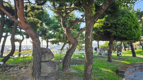 속초사잇길 3길 (수복길) 사진 1