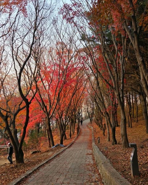 수봉공원 산책길 사진 1