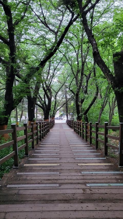 수봉공원 산책길 사진 2