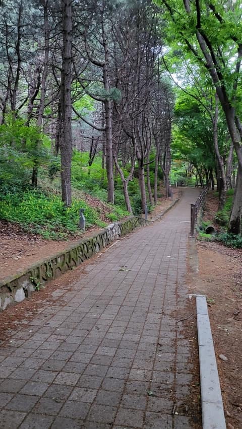 수봉공원 산책길 사진 3