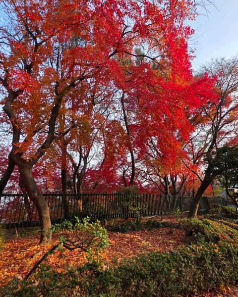 수봉공원 산책길 사진 5
