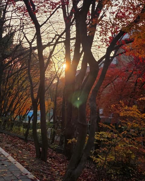 수봉공원 산책길 사진 7