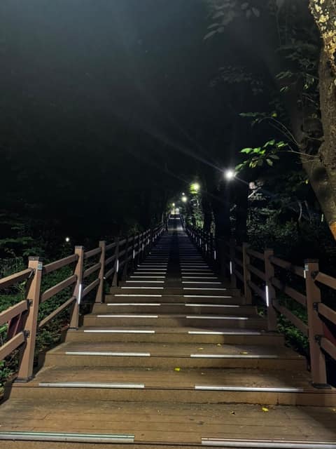 수봉공원 산책길 사진 10