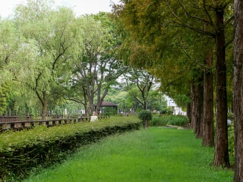 초전공원 걷기코스 사진 2