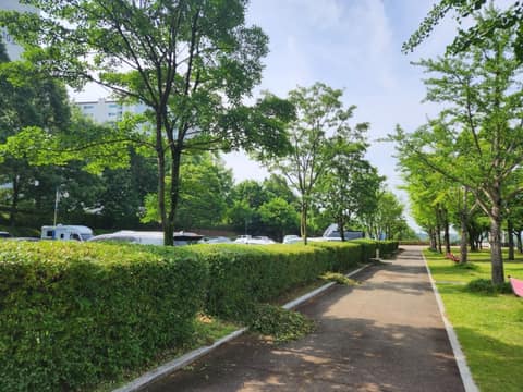초전공원 걷기코스 사진 10