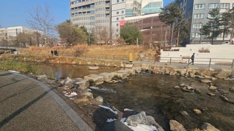 세곡누리길 사진 4