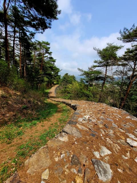 송계뚝방길 사진 4