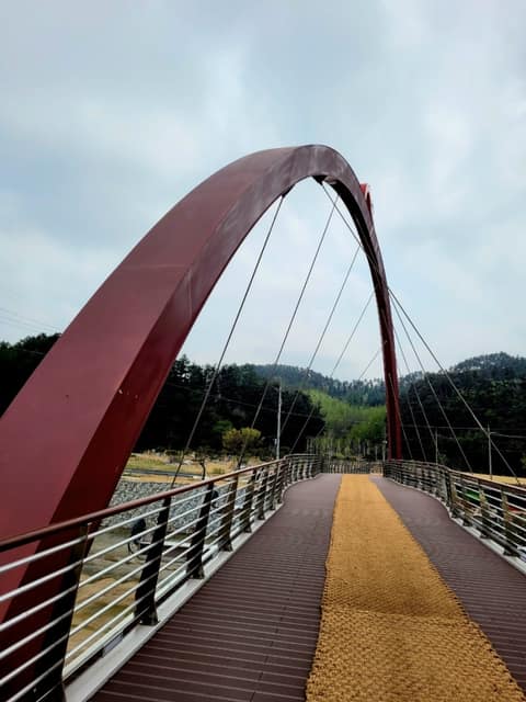 송계뚝방길 사진 9