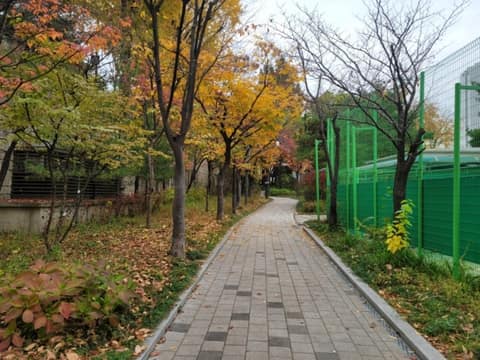 손기정 체육공원 산책코스 사진 9