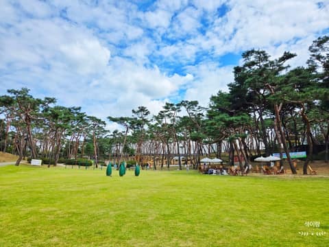 청주 솔밭공원 산책길 사진 2