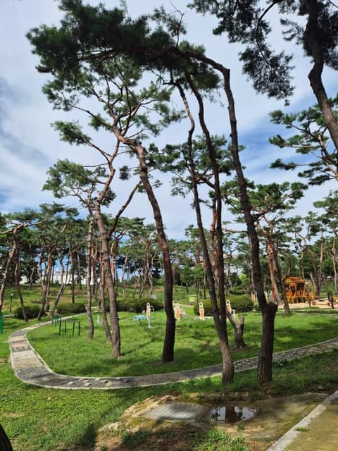 청주 솔밭공원 산책길 사진 3