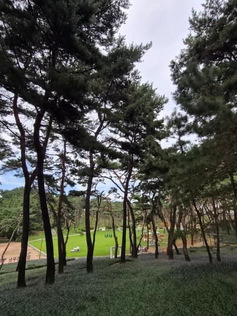 청주 솔밭공원 산책길 사진 4