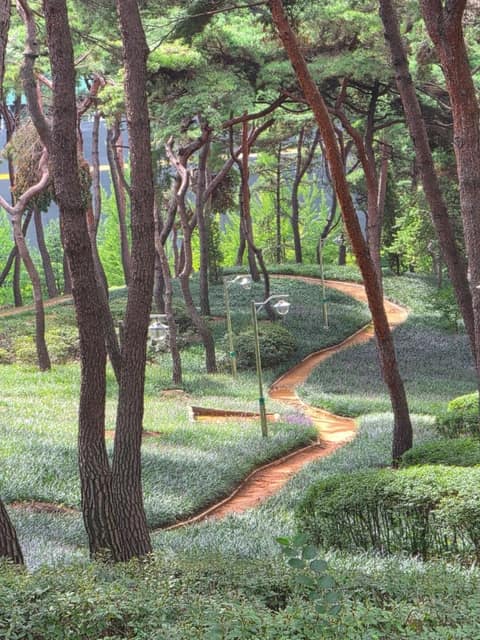 청주 솔밭공원 산책길 사진 9
