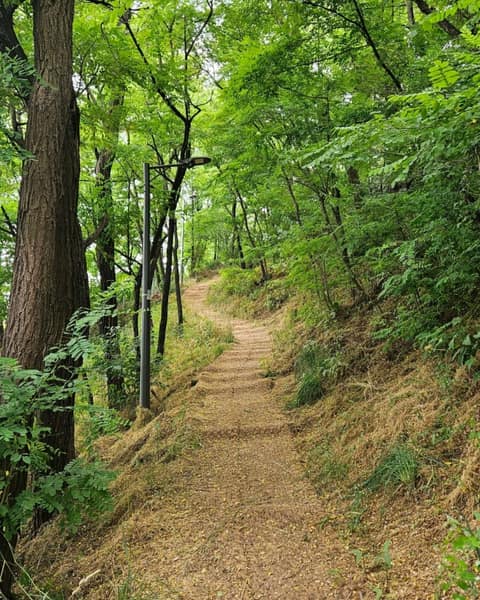 답십리근린공원 산책코스 사진 1