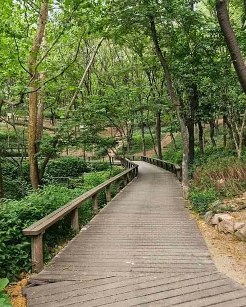 답십리근린공원 산책코스 사진 2