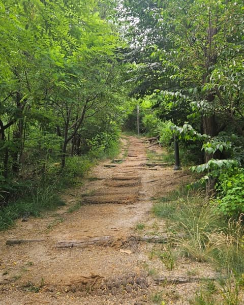 답십리근린공원 산책코스 사진 3