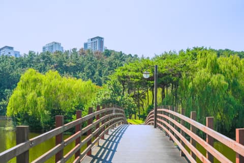 와우생태호수공원 산책길 사진 1