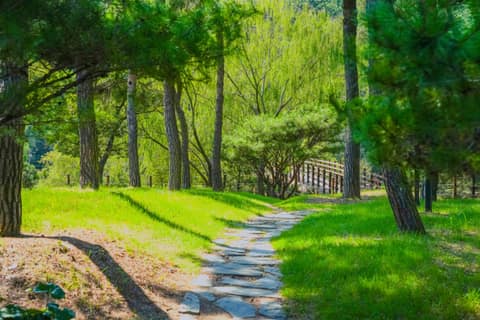 와우생태호수공원 산책길 사진 4