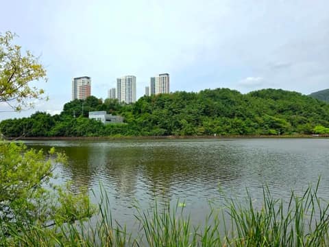 와우생태호수공원 산책길 사진 6