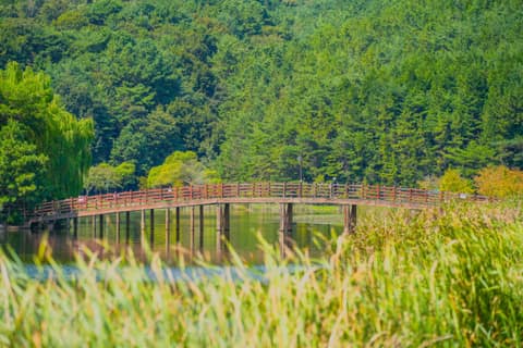 와우생태호수공원 산책길 사진 9