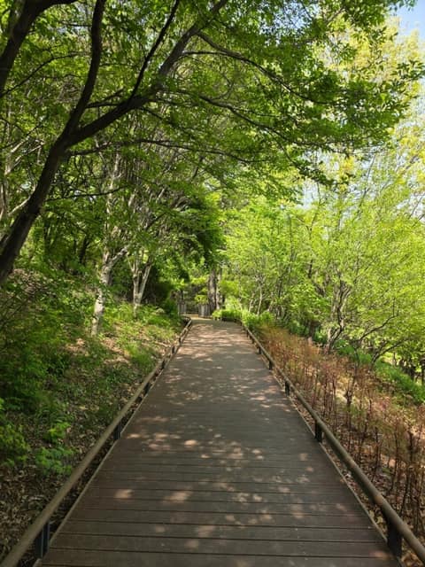 초안산 근린공원 둘레길 사진 1