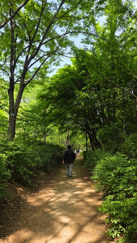 초안산 근린공원 둘레길 사진 2