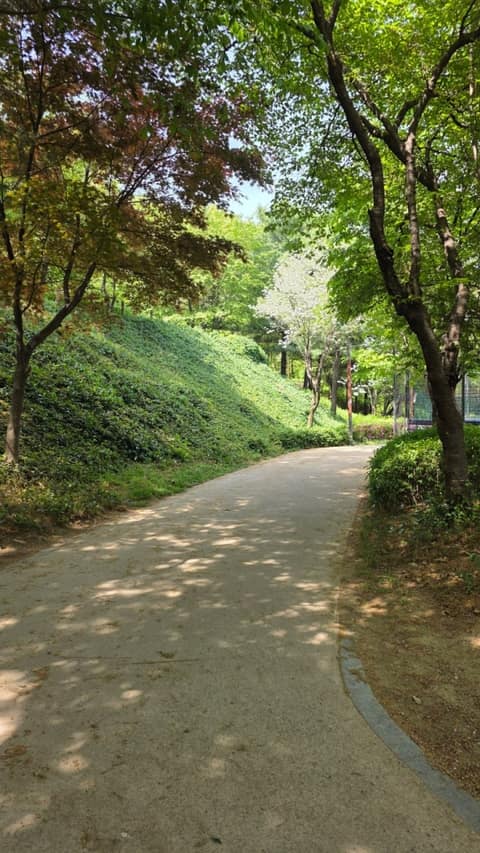 초안산 근린공원 둘레길 사진 3