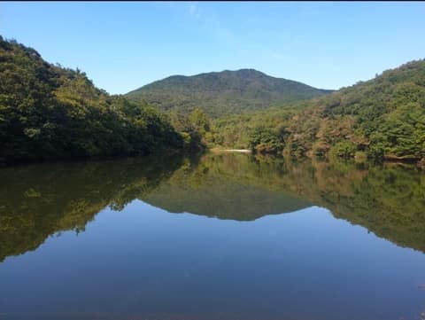 청룡저수지 산책길 사진 2
