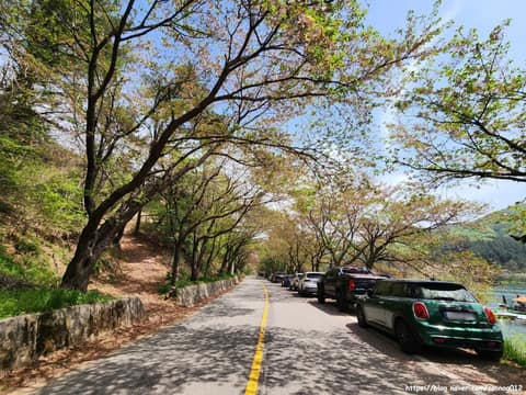 청룡저수지 산책길 사진 3