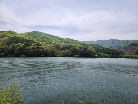 청룡저수지 산책길 사진 4
