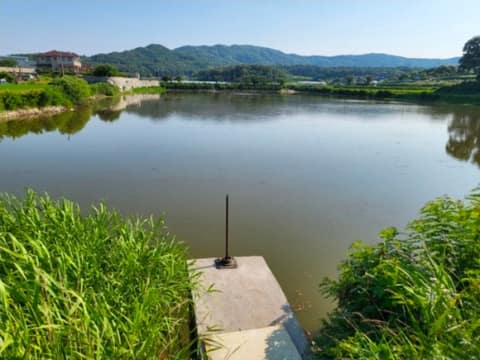 청룡저수지 산책길 사진 5
