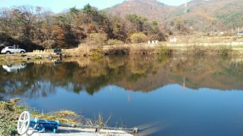청룡저수지 산책길 사진 6
