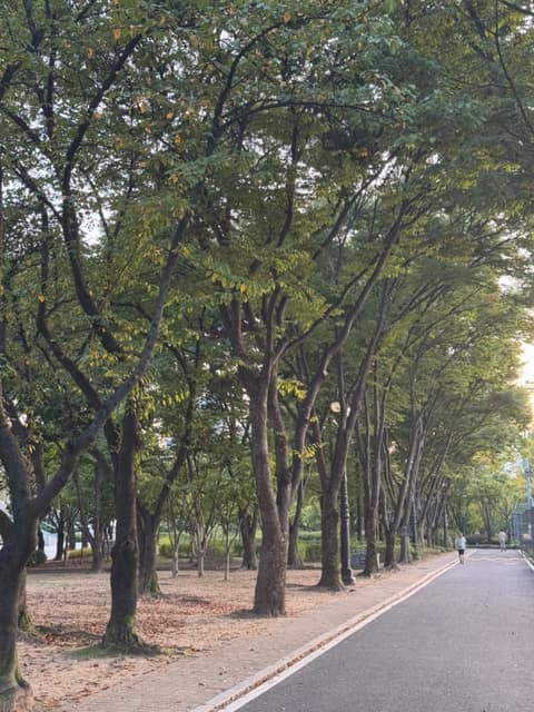 자유공원-갈산둘레길 사진 2
