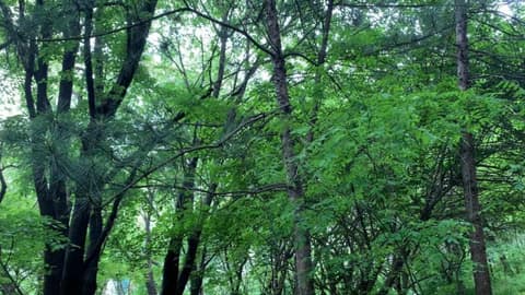 자유공원-갈산둘레길 사진 4