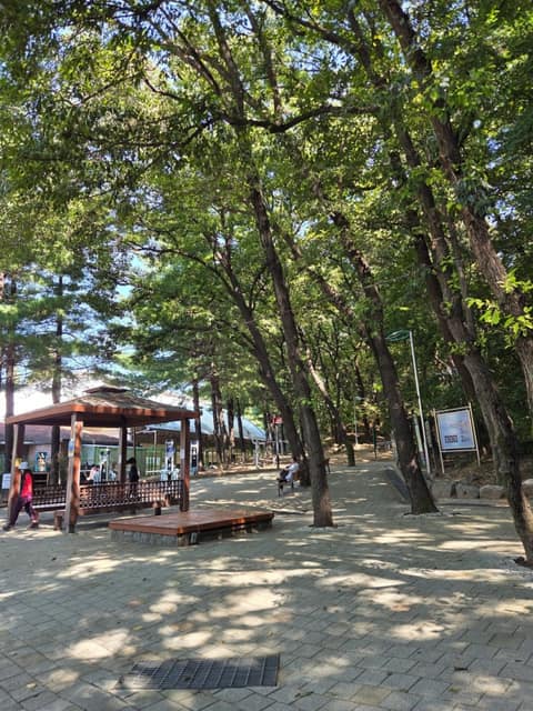 자유공원-갈산둘레길 사진 9