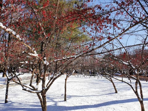 자유공원-갈산둘레길 사진 10