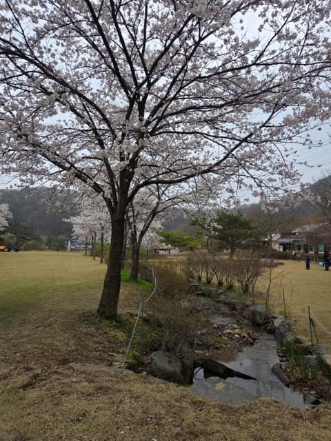 만뢰산 등산로 사진 1