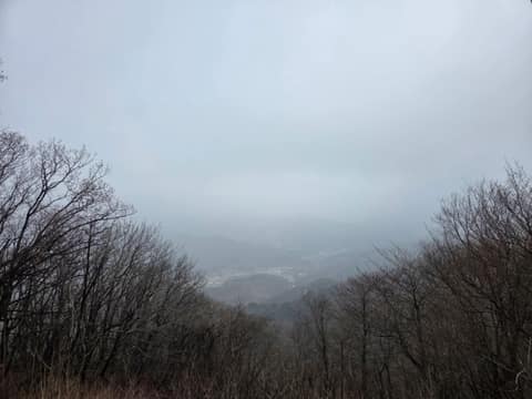 만뢰산 등산로 사진 3