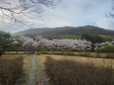 만뢰산 등산로 사진 5