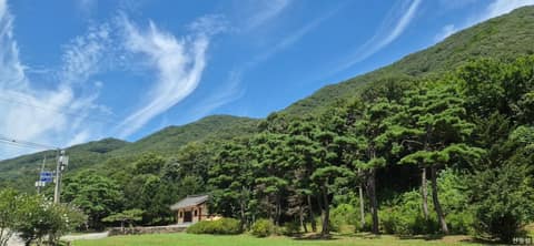 만뢰산 등산로 사진 6