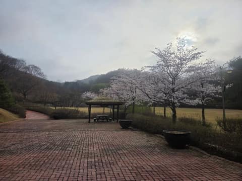 만뢰산 등산로 사진 10