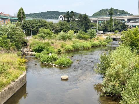 신갈천 산책길 사진 1