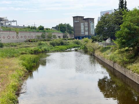 신갈천 산책길 사진 2